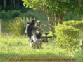 /album/galeria-de-fotos/jogo-20-01-2011-jpg/